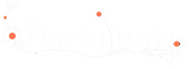 system logo